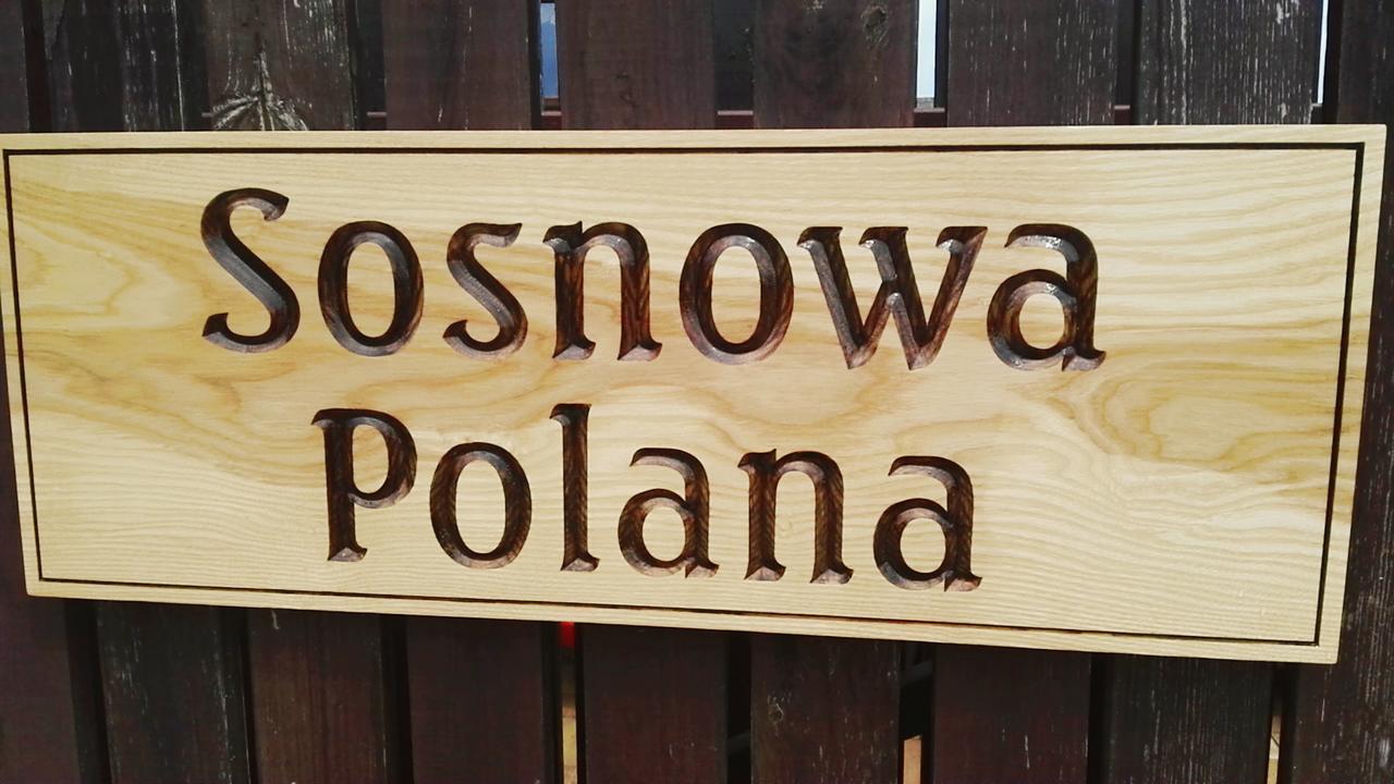 Sosnowa Polana Białowieża エクステリア 写真